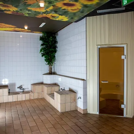 App 510 Panoramic Hohegeiss Mit Fernblick Braunlage