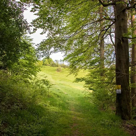 App 510 Panoramic Hohegeiss Mit Fernblick * Braunlage