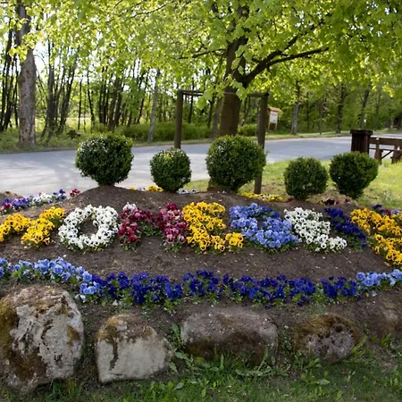 App 510 Panoramic Hohegeiss Mit Fernblick *